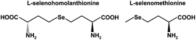 Structures of selenohomolanthionine and selenomethionine.