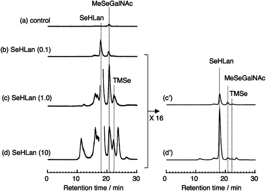 Elution profiles of Se in 24 h urine samples from mice injected with SeHLan at the doses of 0.1, 1.0, and 10 mg Se kg−1 body weight. Urine was collected 24 h after injection, combined in each group of 4 mice, and then subjected to HPLC-ICP-MS analysis on a multi-mode gel filtration column (Shodex Asahipak GS-320HQ) eluted with 50 mmol L−1 ammonium acetate. Se in the eluate was monitored at m/z 82. Numbers in parenthesis show the dose in mg Se kg−1 body weight.