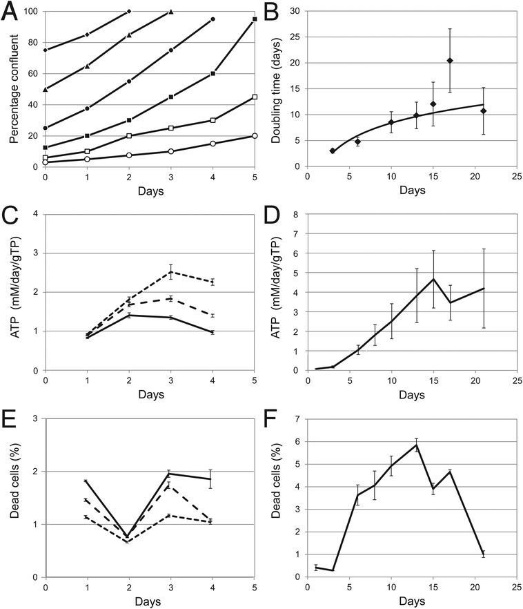 Cell growth and viability. (A) Cell growth as determined in 2D cultures. Cells were counted after trypsinisation (i.e. before culture inoculation) and once again when they had reached greater than 90% confluency. Percentage confluency was determined by visual inspection at 24 h intervals between inoculation and trypsinisation. Duplicate cultures were inoculated at different dilutions: 1 : 1.3 ◆; 1 : 2 ▲; 1 : 4 ●; 1 : 8 ■; 1 : 16.7 □; and 1 : 33.3 ○. (B) Cell growth in 3D cultures. Spheroids were cultivated in the rotating bioreactor. Duplicate bioreactors were terminated at different times after inoculation and the protein content of on average 170 spheroids was estimated at each time point for each bioreactor using the relationship between their shadow area and protein content. The growth rate was determined from the incremental increase in the total protein content of the bioreactor. (C) The total amount of ATP present in quadruplicate 2D cultures inoculated at different densities: short dash (- - -), long dash (— —), and solid line (———) indicate 10 000, 15 000 and 20 000 cells per well respectively. Data was normalised to mM day−1 g−1 Total cellular Protein (gTP). (D) The amount of ATP present in quadruplicate 3D cultures measured as in (C). (E) The percentage of dead cells present in quadruplicate 2D cultures inoculated at different densities, as estimated by adenylate kinase release with time: short dash (- - -), long dash (— —), and solid line (———) indicate 10 000, 15 000 and 20 000 cells per well respectively. Note that the total amount of dead cells increases as the cultures reach confluence. (F) The percentage of dead cells present in quadruplicate 3D cultures, as estimated by adenylate kinase release. Error bars indicate standard deviation.