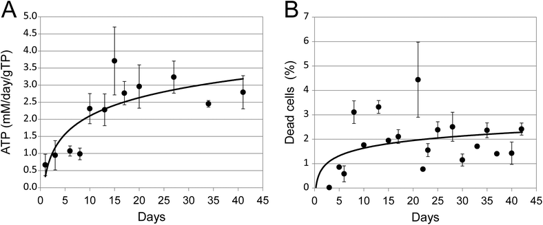 Viability of spheroids in long term cultures. (A) The total amount of ATP present in quadruplicate 3D cultures. Data were normalised to mM per day per gram of total cellular protein (gTP). (B) The percentage of dead cells present in quadruplicate 3D cultures, as estimated by adenylate kinase release. Error bars indicate standard deviation and are in some cases smaller than the symbol.
