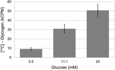 Glycogen synthesis in spheroids. Relationship between the glucose concentration in the growth medium and glyconeogenesis in quadruplicate samples of 21 day old spheroids. Error bars indicate standard deviation.