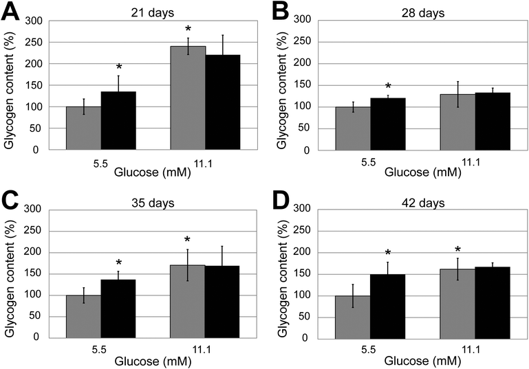 Effect of insulin on glycogen synthesis in long term spheroid cultures. Quadruplicate spheroid cultures of different ages (A: 21 days; B: 28 days; C: 35 days and D: 42 days) were grown in the presence of either 5.5 or 11 mM glucose and treated or mock treated with 100 nM insulin. Results have been normalised to the level of glycogen synthesis in the control mock-treated spheroids grown in 5.5 mM glucose. Error bars indicate standard deviation.