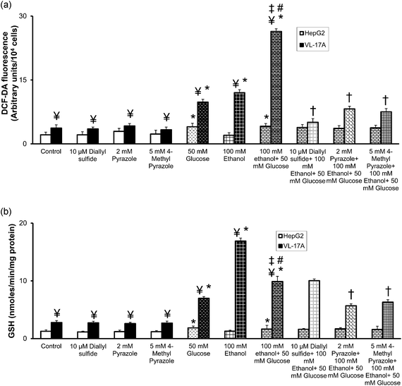 Effect of CYP2E1 or ADH inhibition and CYP2E1 plus ADH inhibition on (a) intracellular reactive oxygen species levels and (b) GSH levels in HepG2 and VL-17A cells. HepG2 and VL-17A cells were treated with 50 mM glucose or 100 mM ethanol or 100 mM ethanol plus 50 mM glucose or 10 μM diallyl sulfide (DAS); 2 mM pyrazole (PYR); and 5 mM 4-methyl pyrazole (4-MP); or 10 μM DAS plus 100 mM ethanol plus 50 mM glucose; or 2 mM PYR plus 100 mM ethanol plus 50 mM glucose; or 5 mM 4-MP plus 100 mM ethanol plus 50 mM glucose for 72 hours. (a) The levels of intracellular ROS were measured by fluorescence spectrometry using 2′,7′-DCF-DA as the probe. (b) The total GSH content of samples was assayed by measuring the rate of 2-nitro-5-thiobenzoic acid production. Results are expressed as mean ± S.E. of three experiments. * p < 0.05 compared with untreated HepG2 or VL-17A cells, ¥ p < 0.05 compared with corresponding HepG2 cells, ‡ p < 0.05 compared with 100 mM ethanol treated VL-17A cells, # p < 0.05 compared with 50 mM glucose treated VL-17A cells, and † p < 0.05 compared with 100 mM ethanol plus 50 mM glucose treated VL-17A cells.