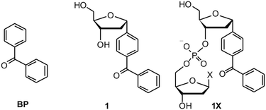 Conformational Control Of Benzophenone Sensitized Charge Transfer In Dinucleotides Physical Chemistry Chemical Physics Rsc Publishing