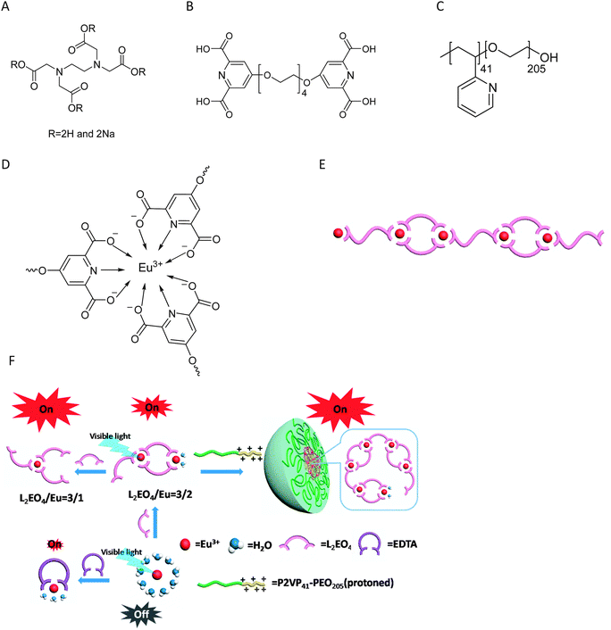 The Advantage Of Reversible Coordination Polymers In Producing Visible Light Sensitized Eu Iii Emissions Over Edta Via Excluding Water From The Coordination Sphere Physical Chemistry Chemical Physics Rsc Publishing