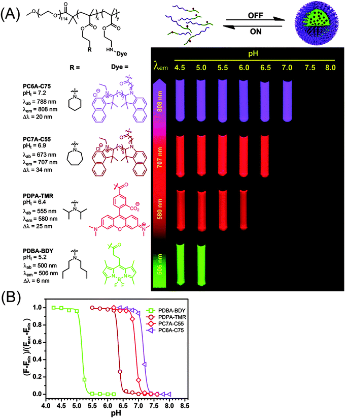 Functional Block Copolymer Assemblies Responsive To Tumor And Intracellular Microenvironments For Site Specific Drug Delivery And Enhanced Imaging Performance Chemical Society Reviews Rsc Publishing