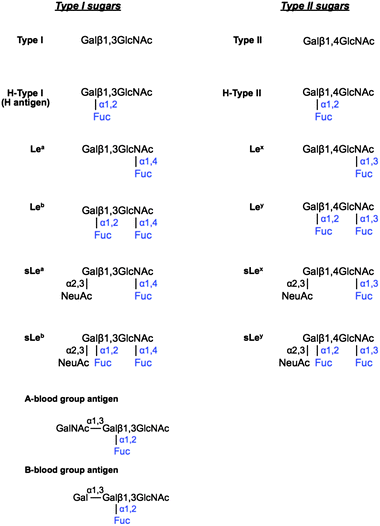 Development Of Fucosyltransferase And Fucosidase Inhibitors Chemical Society Reviews Rsc Publishing
