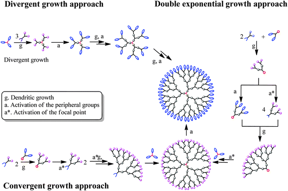 Dendritic architectures based on bis-MPA: functional polymeric scaffolds for application-driven ...