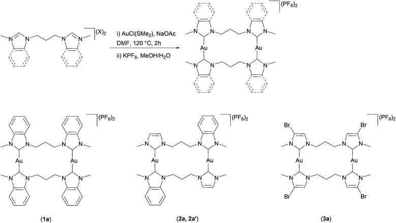 Dinuclear Gold I Complexes With Propylene Bridged N Heterocyclic Dicarbene Ligands Synthesis Structures And Trends In Reactivities And Properties Dalton Transactions Rsc Publishing