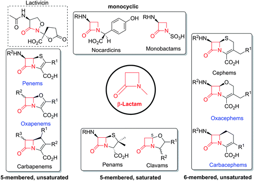 The Enzymes Of B Lactam Biosynthesis Natural Product Reports Rsc Publishing