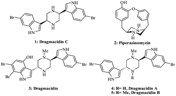 An Efficient Synthetic Approach For N C Bond Formation From S Amino Acids An Easy Access To Cis 2 5 Disubstituted Chiral Piperazines Rsc Advances Rsc Publishing