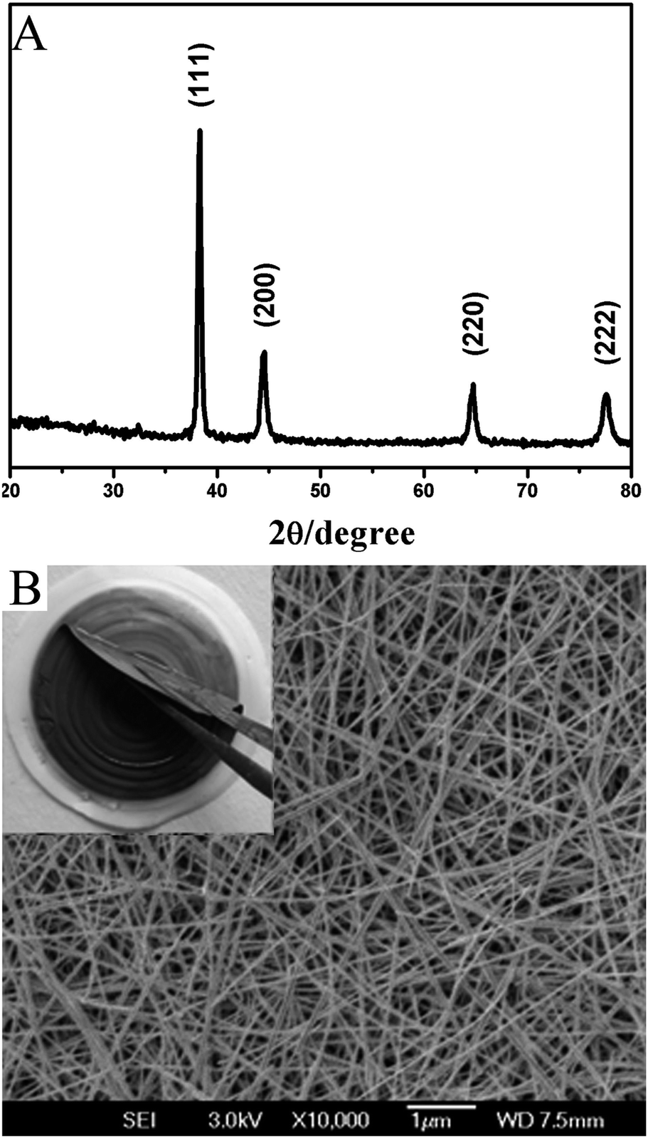 A disordered silver nanowires membrane for extraction and surface-enhanced  Raman spectroscopy detection - Analyst (RSC Publishing)  DOI:10.1039/C4AN00163J