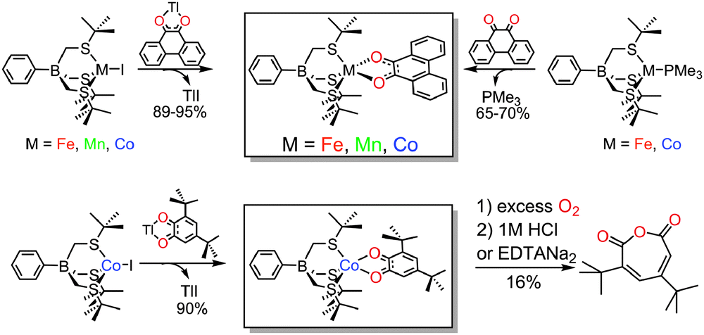 Five-coordinate M II -semiquinonate (M = Fe, Mn, Co) complexes ...