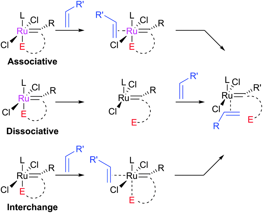 Attempt to perform ring-closing metathesis of enynes 6. | Download  Scientific Diagram