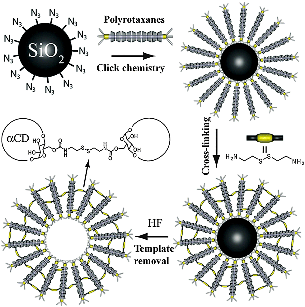 Self-assembly of supramolecularly engineered polymers and