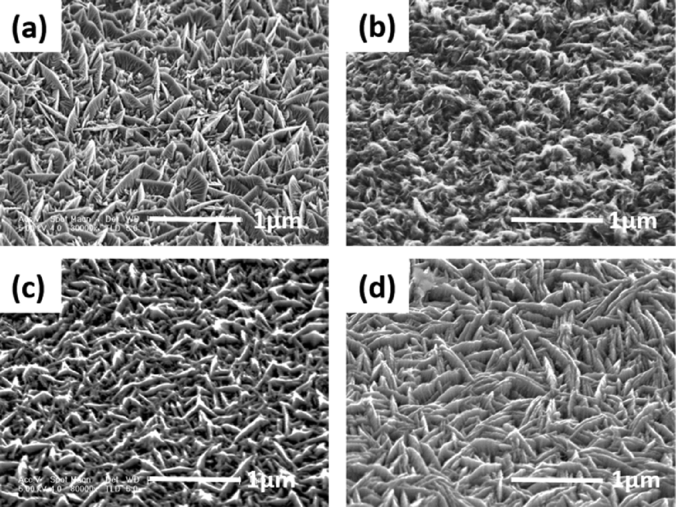 Synthesis of hierarchical mushroom like cobalt nanostructures