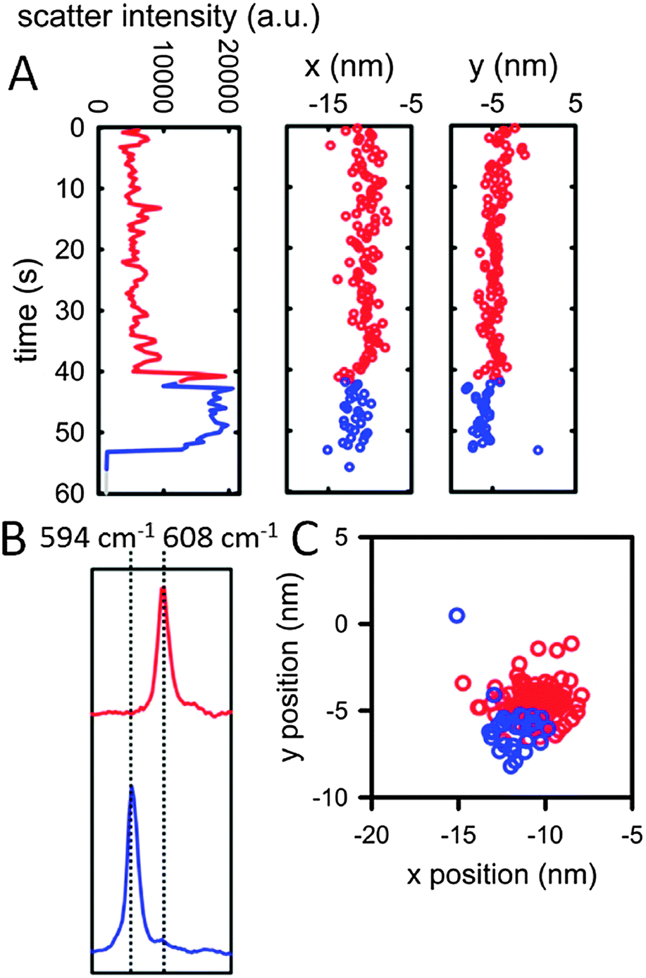 Molecular plasmonics for nanoscale spectroscopy - Chemical