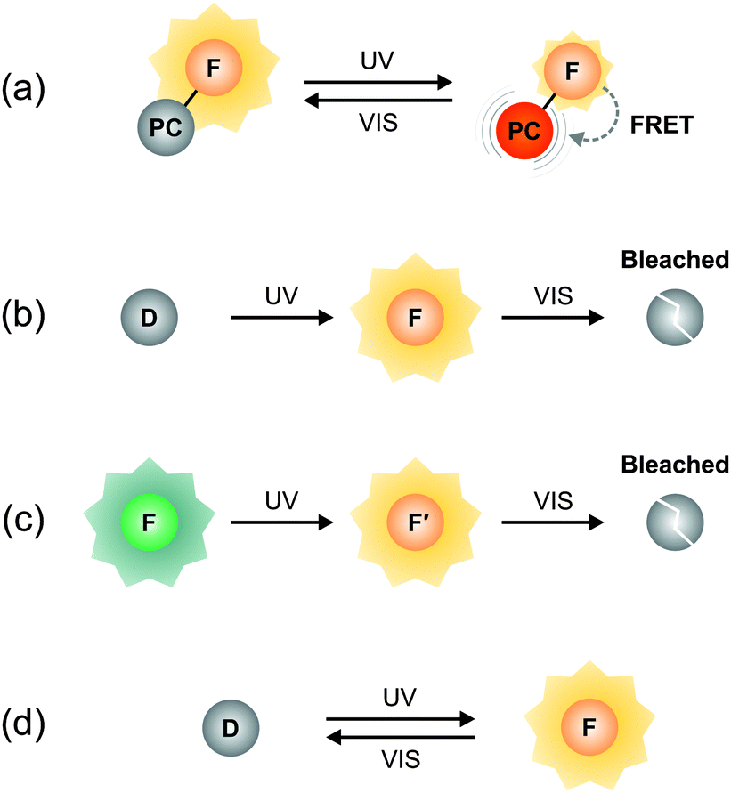 Fluorophore Dyes