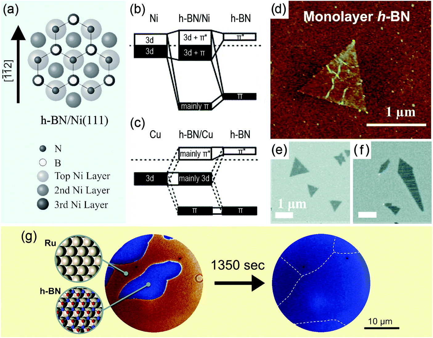 Nano boron nitride flatland - Chemical Society Reviews (RSC