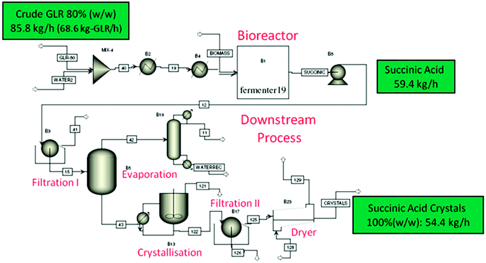 Flow Chart Of Glutamic Acid Production Flowchart Examples