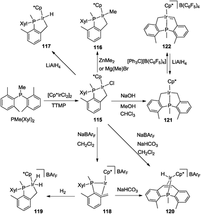 Cyclometalated [Cp*M(C^X)] (M = Ir, Rh; X = N, C, O, P) complexes