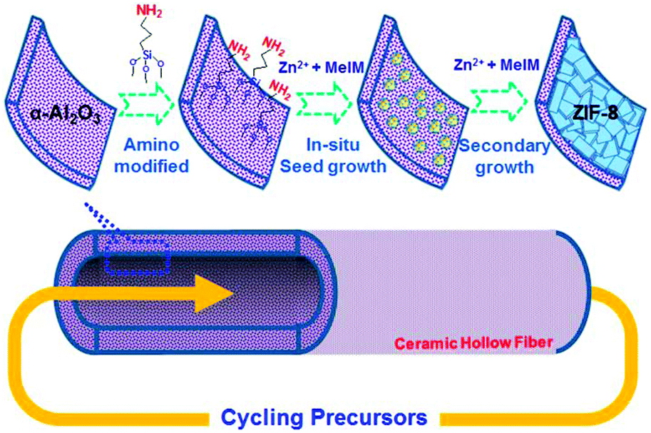 yu。 Frontiers | Spatiotemporal Trends in the Incidence of