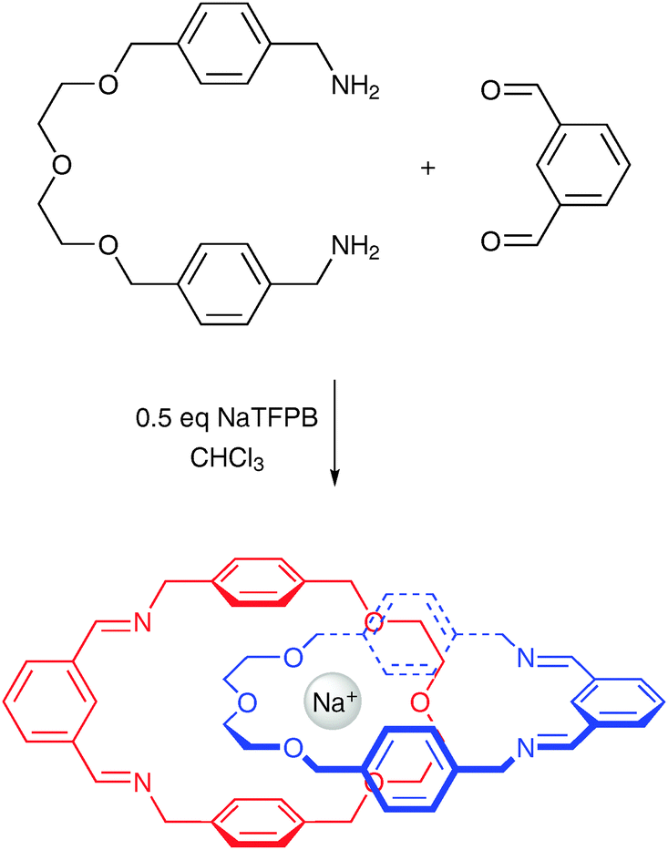 Syntheses of three-dimensional catenanes under kinetic control