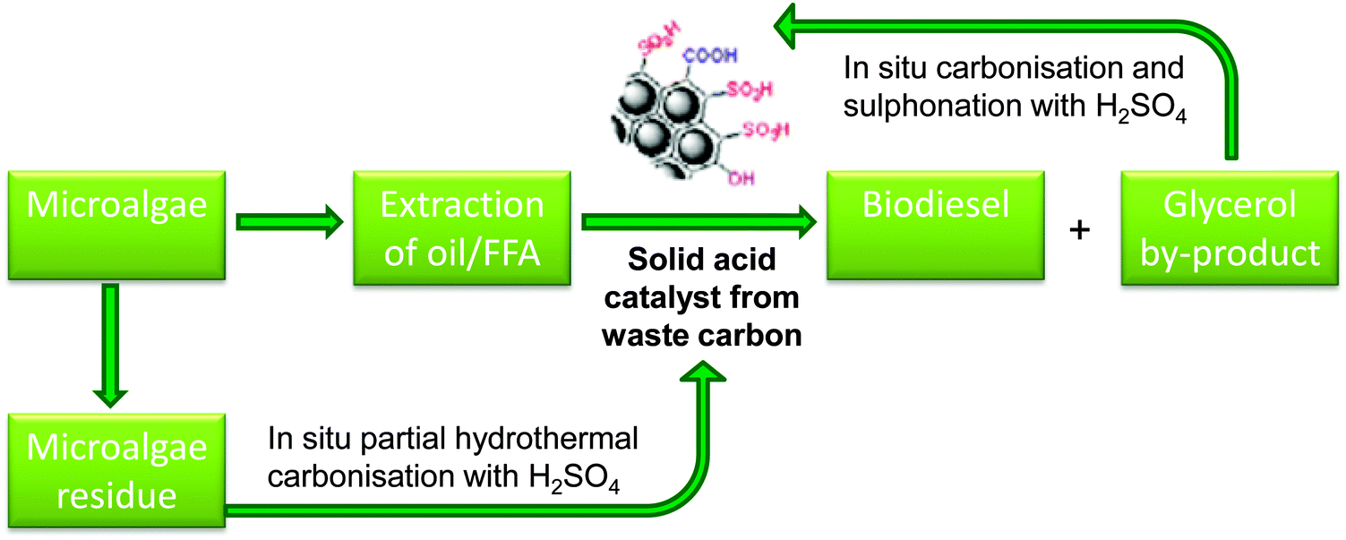 Synthesis and catalytic activity of mesostructured KF/Ca x Al 2 O (x+3) for  the transesterification reaction to produce biodiesel - RSC Advances (RSC  Publishing) DOI:10.1039/C2RA22218C
