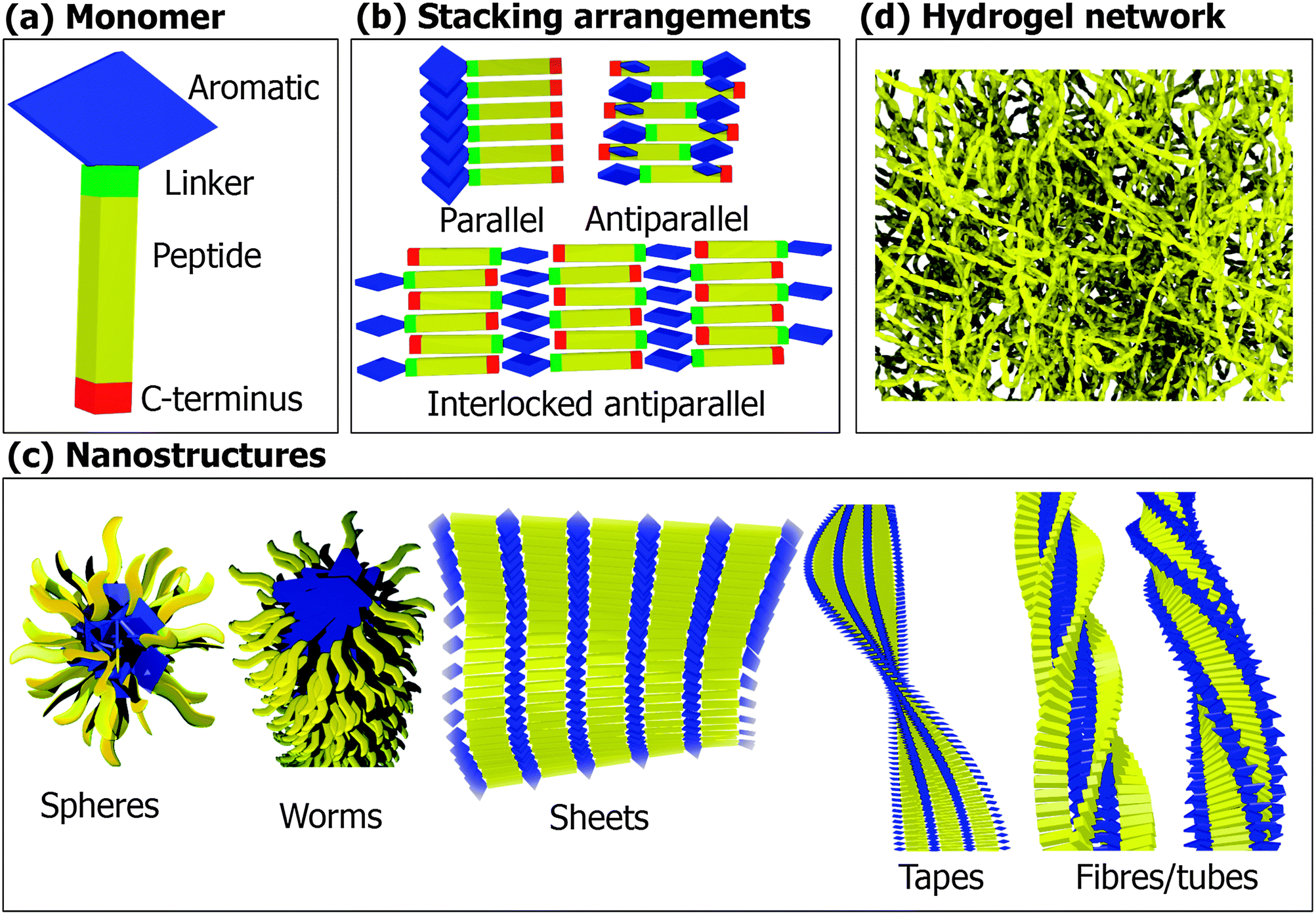 Design of nanostructures based on aromatic peptide amphiphiles