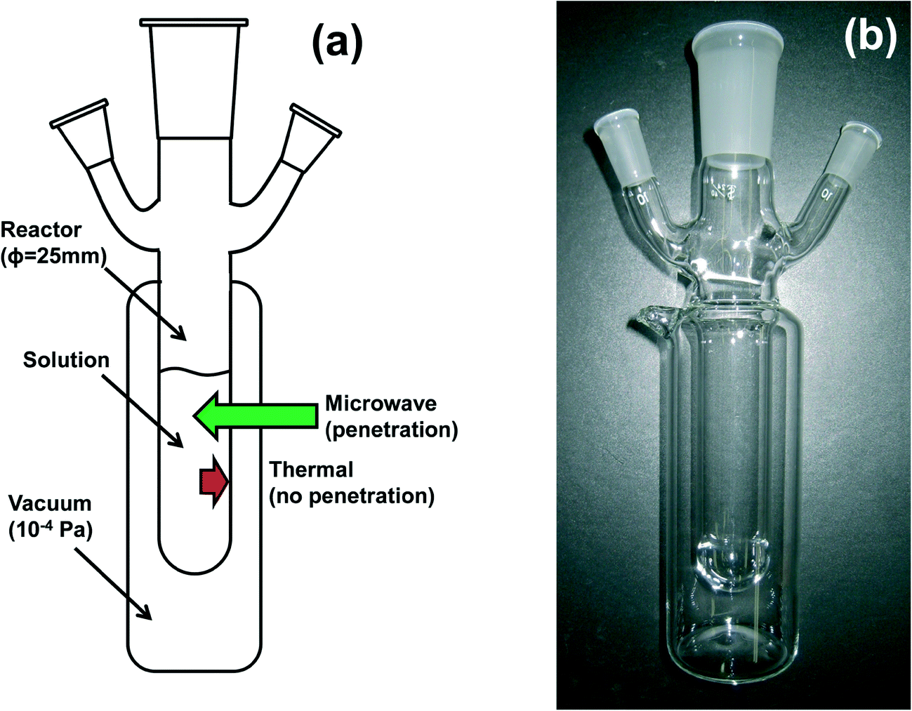 Dewar or vacuum flask fully diagram Royalty Free Vector