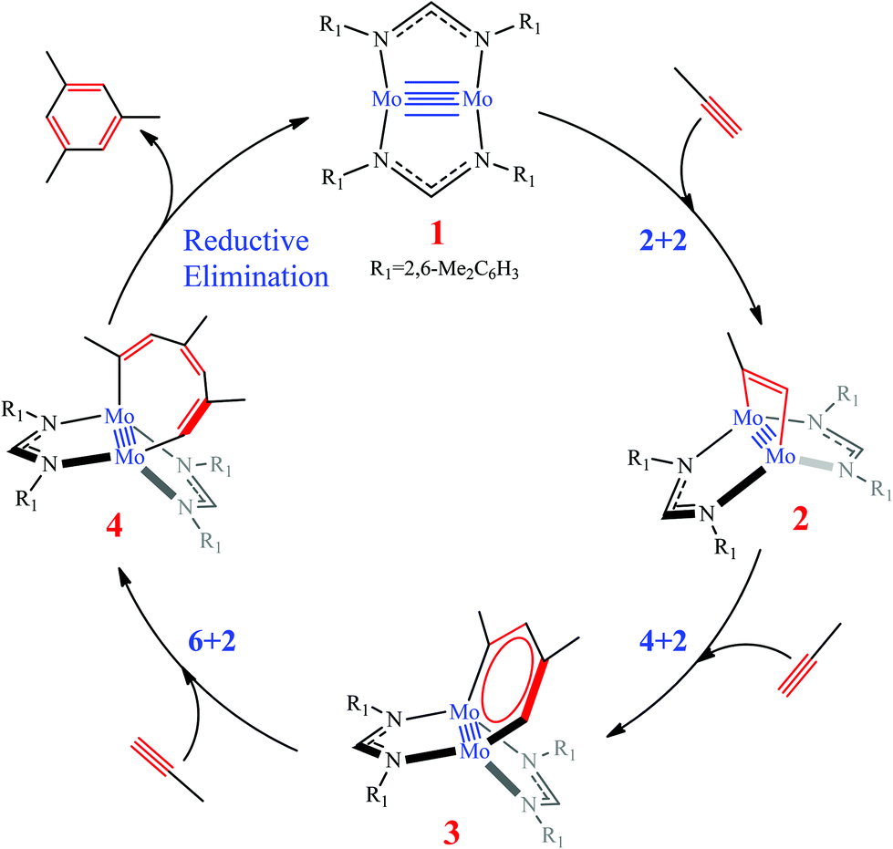 The important role of the Mo–Mo quintuple bond in catalytic The important role of the Mo–Mo quintuple bond in catalytic