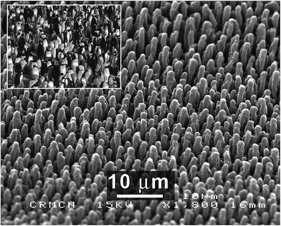 Black silicon: fabrication methods, properties and solar energy 