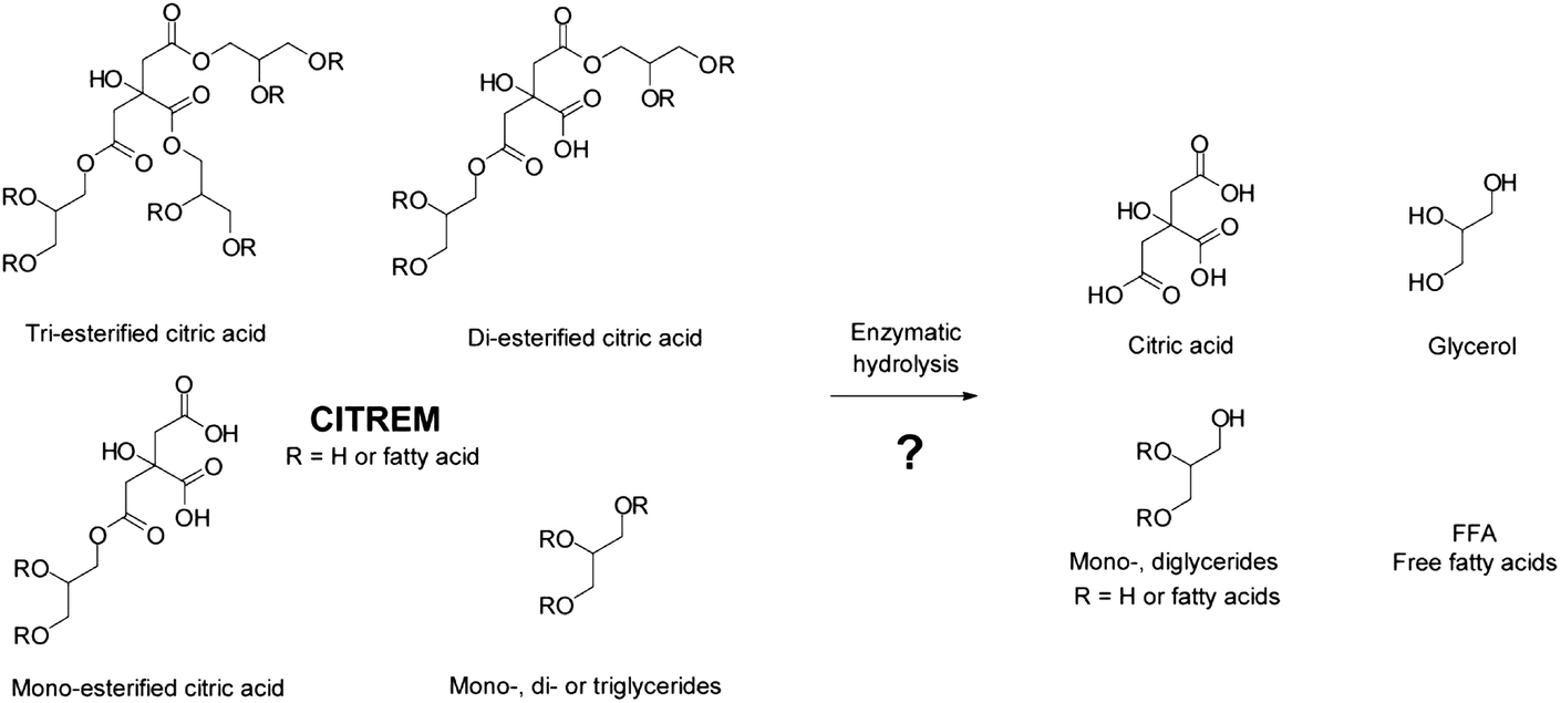 In Vitro Digestion Of Citric Acid Esters Of Mono And Diglycerides Citrem And Citrem Containing Infant Formula Emulsions Food Function Rsc Publishing Doi 10 1039 C4fo00045e