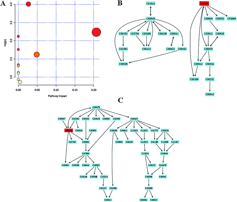 image file: c3mb70352e-f4.tif