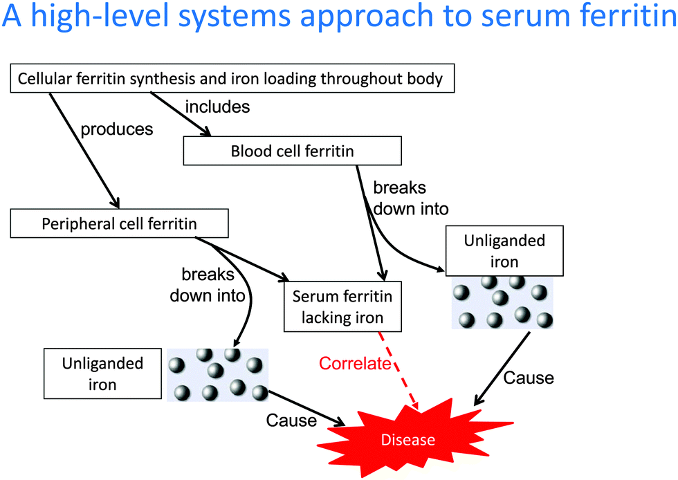Normal Iron Level Chart Serum ferritin is an important inflammatory disease marker 