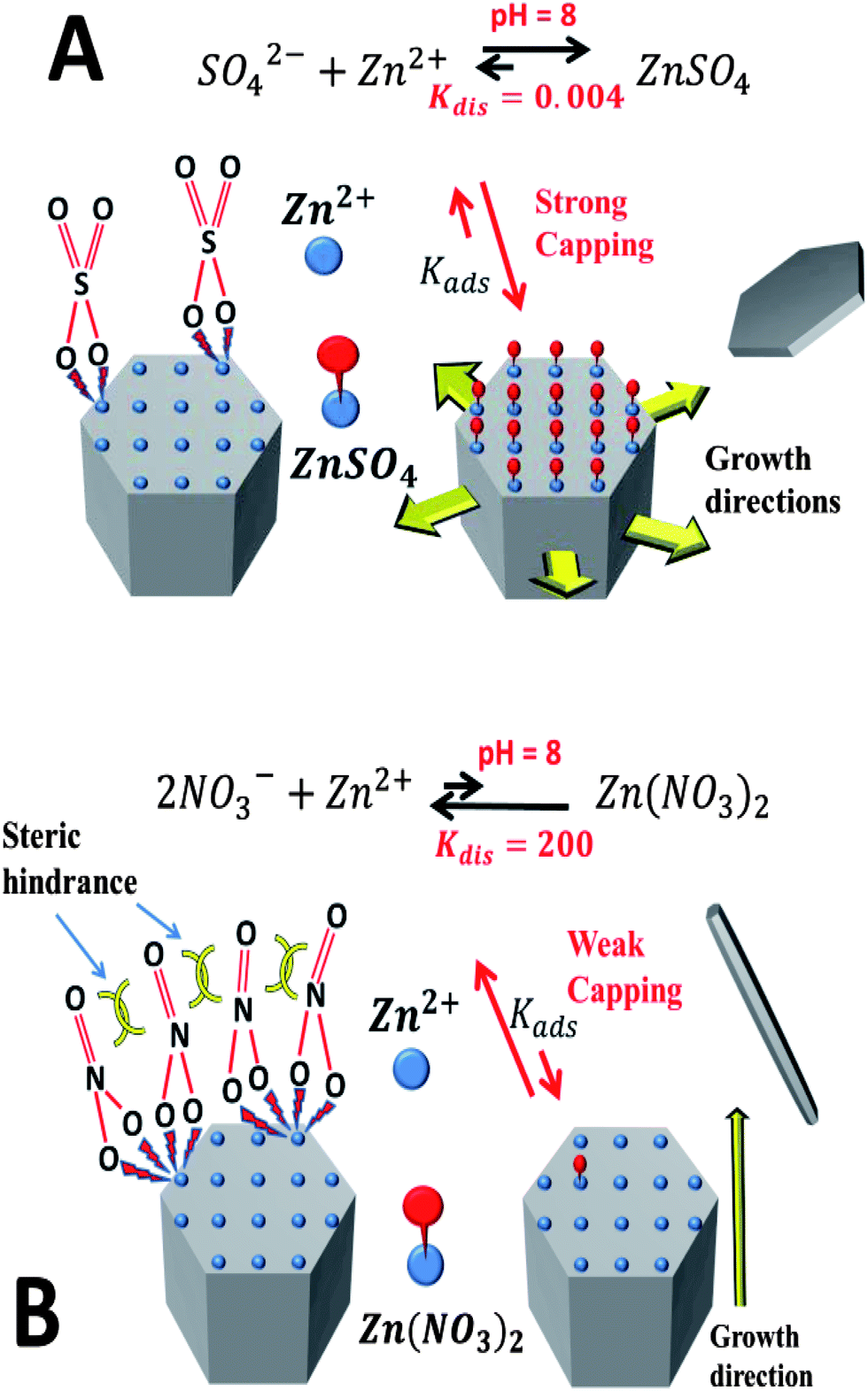 From 1D and 2D ZnO nanostructures to 3D hierarchical structures 