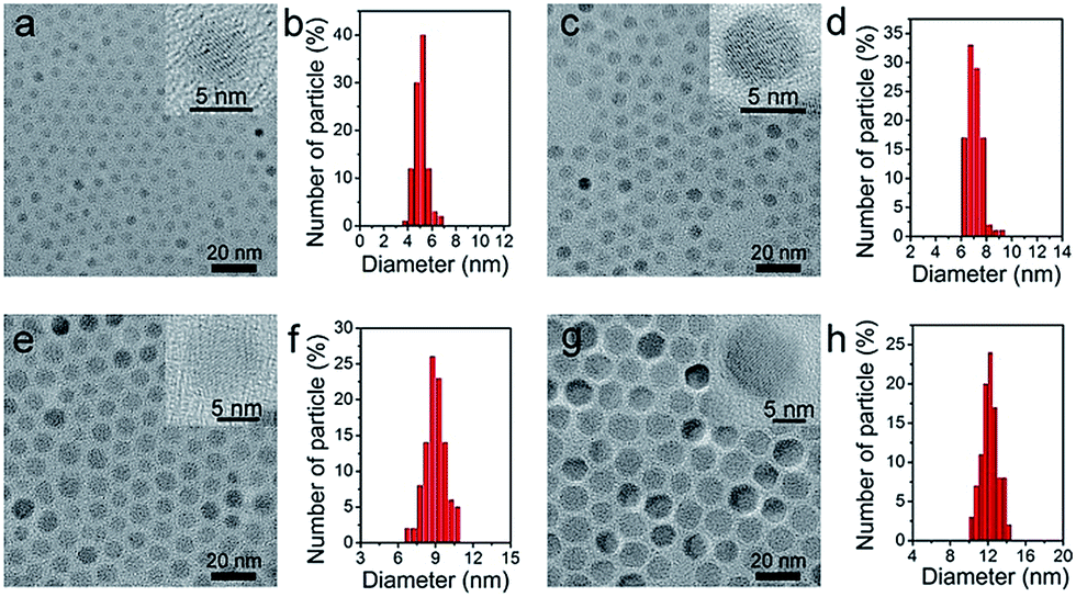 Tunable T 1 And T 2 Contrast Abilities Of Manganese Engineered Iron Oxide Nanoparticles Through Size Control Nanoscale Rsc Publishing Doi 10 1039 C4nrb