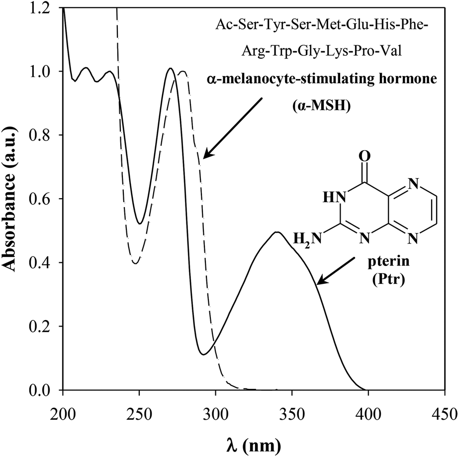 Degradation of α-melanocyte-stimulating hormone photosensitized by pterin -  Organic & Biomolecular Chemistry (RSC Publishing) DOI:10.1039/C4OB00434E