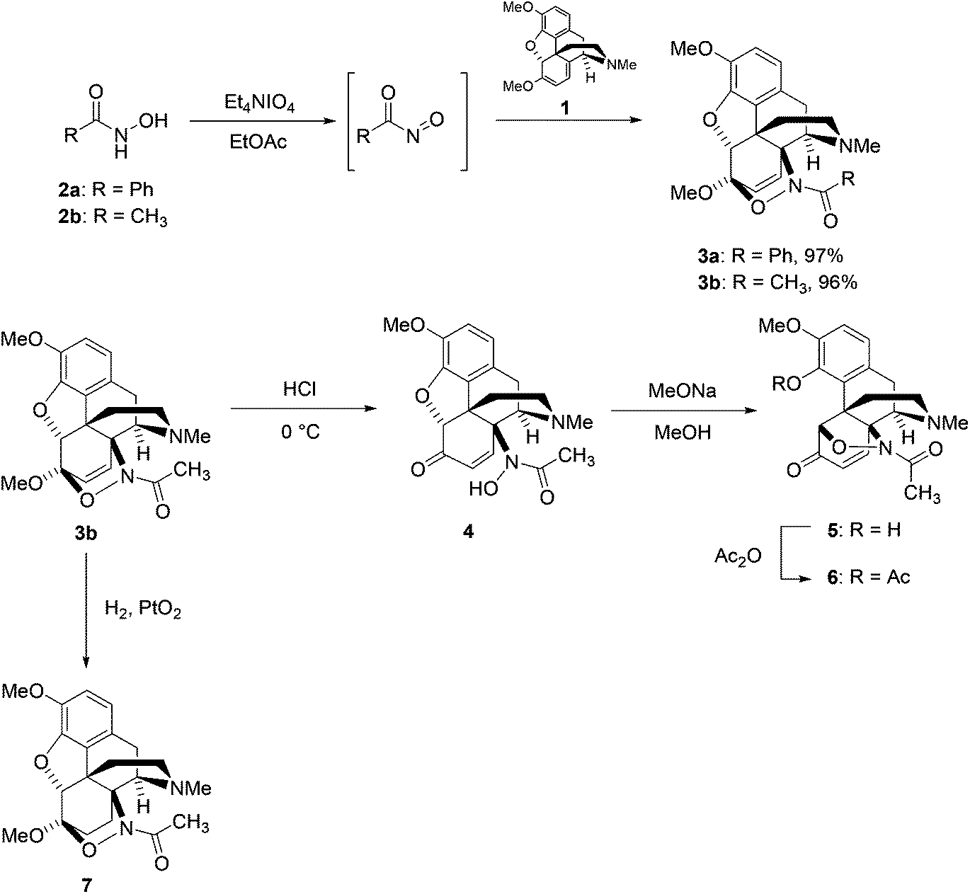 Nitroso Dielsalder Nda Reaction As An Efficient Tool For The Functionalization Of Diene 8660