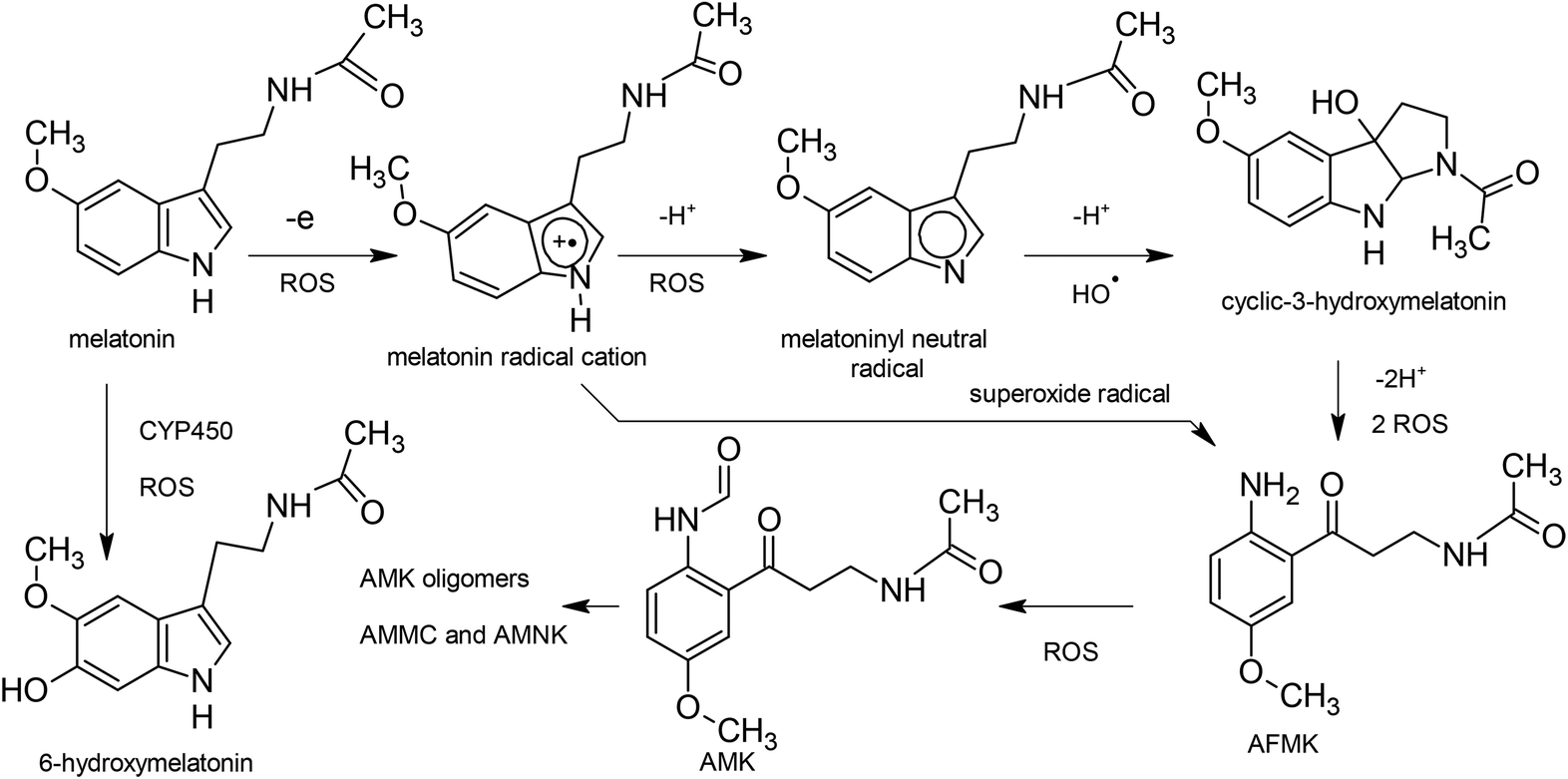 Theoretical insight into the antioxidant properties of melatonin and  derivatives - Organic & Biomolecular Chemistry (RSC Publishing)  DOI:10.1039/C4OB01396D