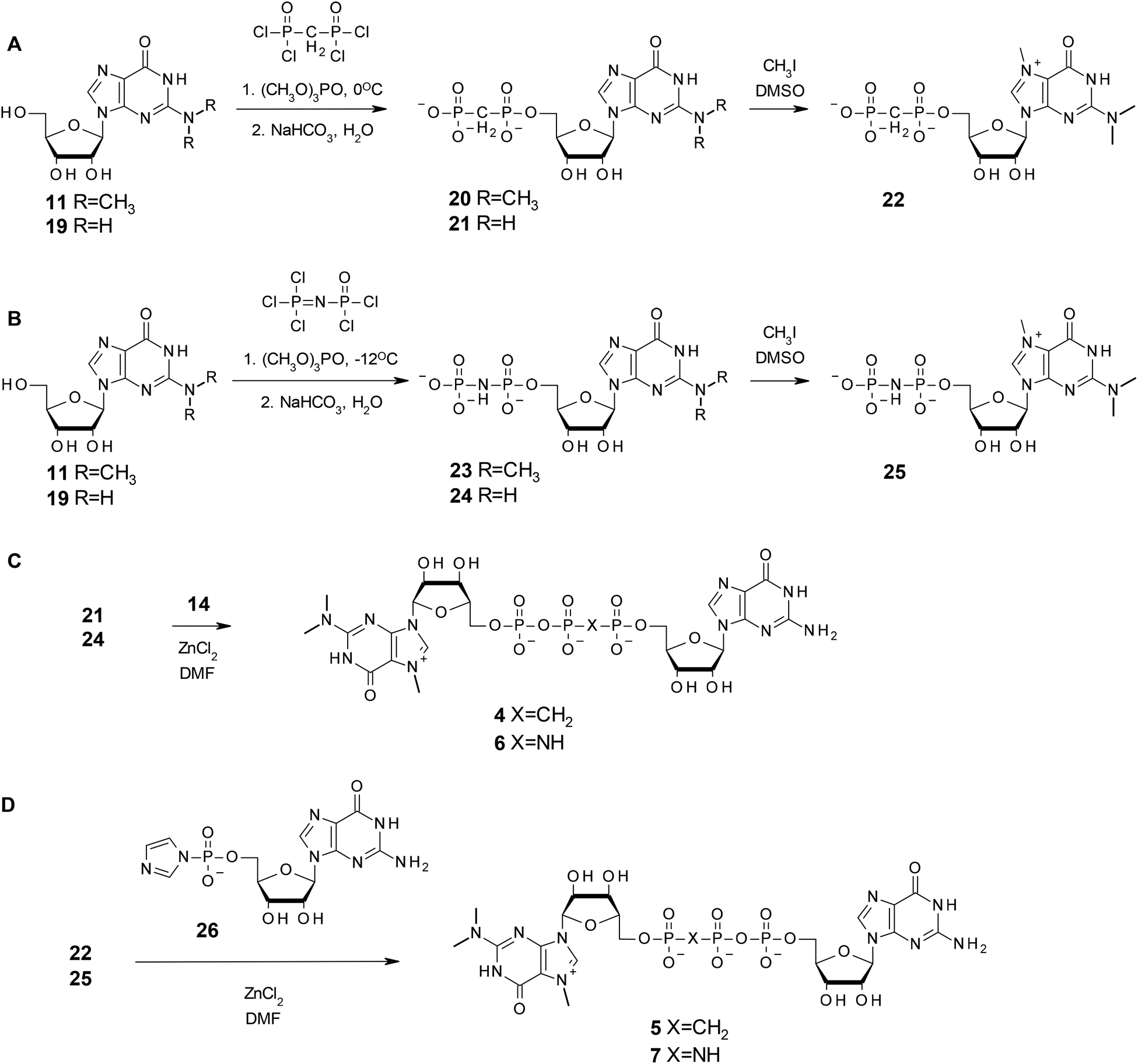 Towards Novel Efficient And Stable Nuclear Import Signals Synthesis And Properties Of Trimethylguanosine Cap Analogs Modified Within The 5 5 Tripho Organic Biomolecular Chemistry Rsc Publishing Doi 10 1039 C4obg