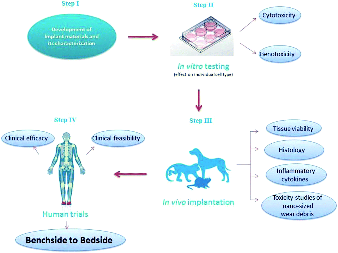 In vivo efficacy testing Clinisciences