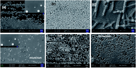 image file: c3ra45250f-f5.tif