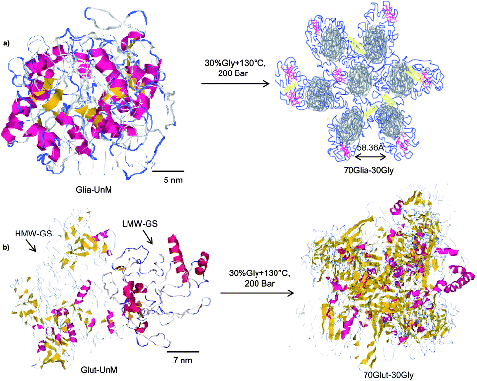 gliadin structure