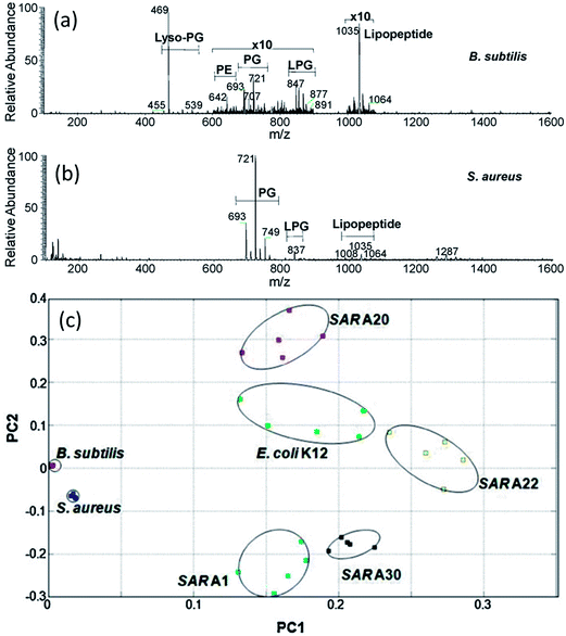 image file: c3ra46327c-f5.tif