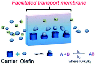 image file: c3ra46506c-s2.tif