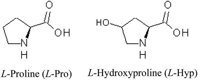 proline to hydroxyproline