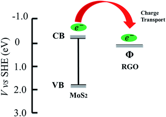 image file: c3ra46956e-f1.tif