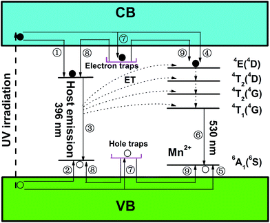 image file: c3ra47760f-f7.tif