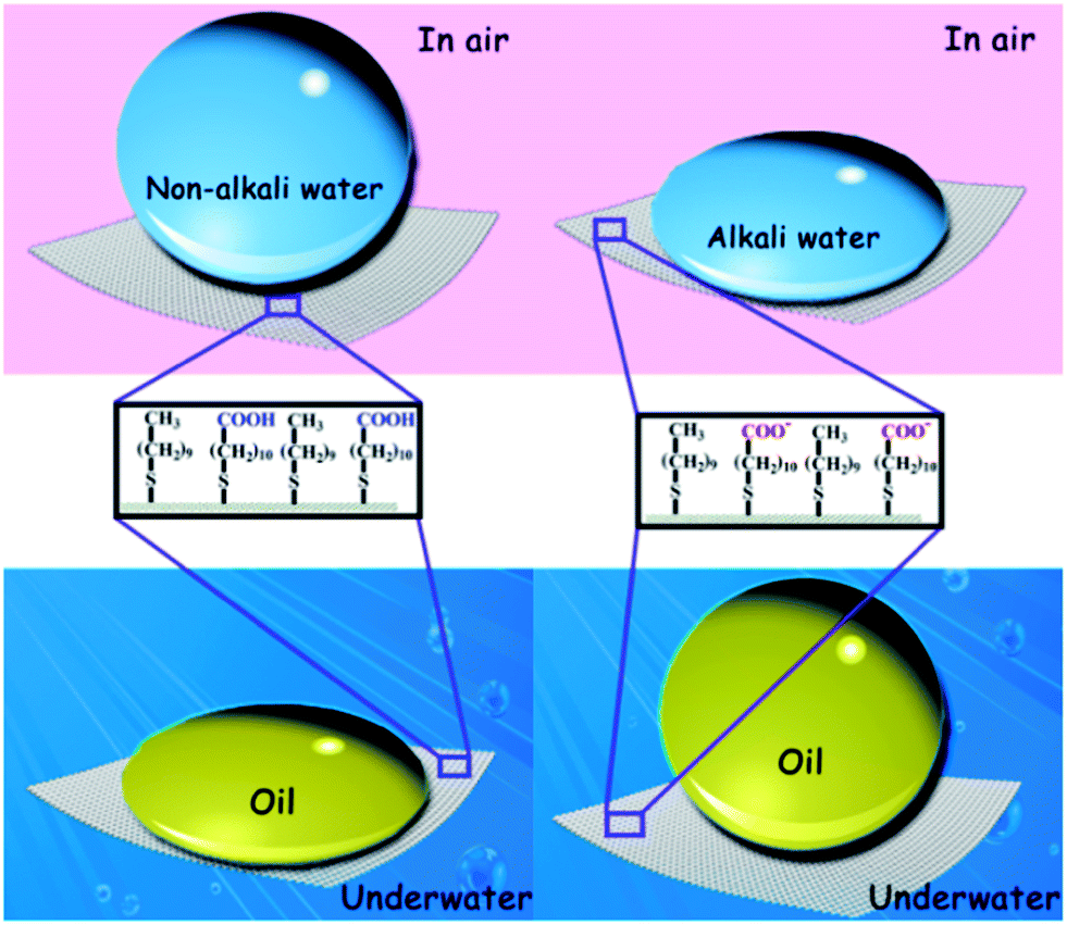 pH-responsive smart fabrics with controllable wettability in 